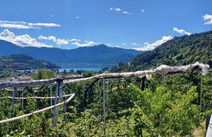 La Coccinella di Susà - Foto 33