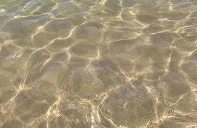 Torres House Smart Barra com WiFi - Foto 24