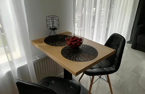 Apartament Wrocław Centrum Dorzecze Legnickiej - Photo 13