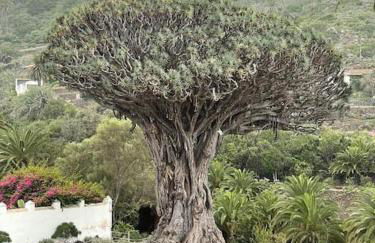 Alina's Nest - Foto 26