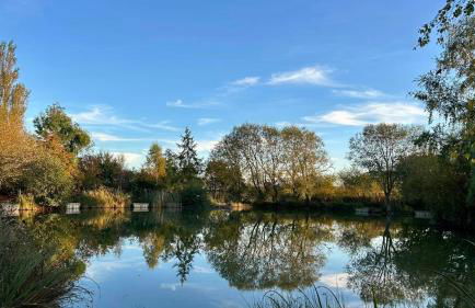 Puddle Duck Cottage - Foto 17