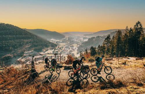 Black Forest Luxury Apartment Bärenhöhle mit Sauna - Foto 40