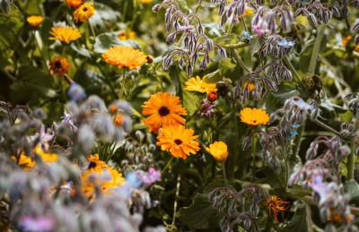 Thomashof Klein-Mutz - Foto 68