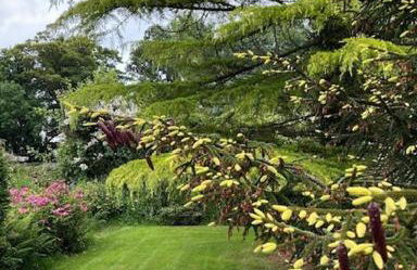 The Cottage, Walworth Demesne - Foto 47