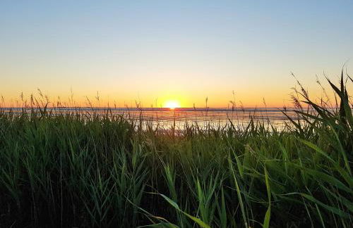 kleine Düne inkl Ebikes - Foto 25