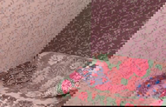 Apartment Kirova 59 - Photo 17