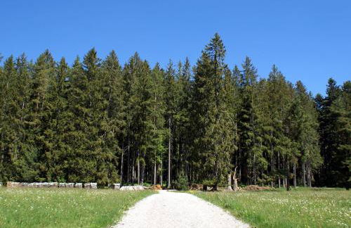 Lippenhof - Unter der Linde - Foto 26