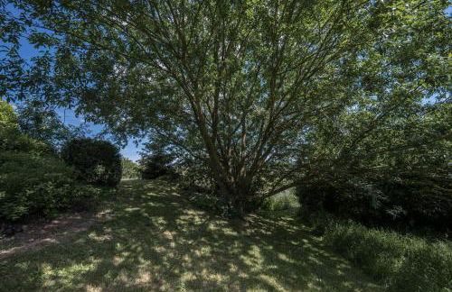 Ferienwohnung Schwalbennest - Foto 59