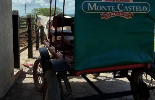 Flat Monte Castelo, Gravatá - Foto 13