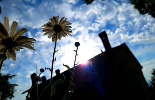 Zgora mora-above the sea-peacefull,family frendly - Foto 21