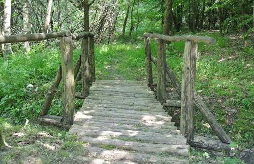 Ferienwohnungen Treseburg "Zur Bodehexe" - Foto 35