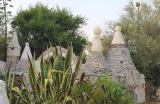 Dolce Casa - Foto 39