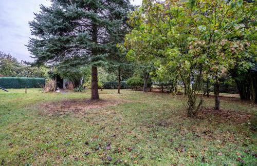 Ferienwohnung Wilhelm - Foto 22