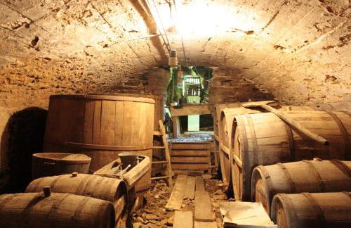 Le Papillon Bleu - Foto 43