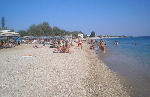 Apollon (ex. Albatros) - Foto 32