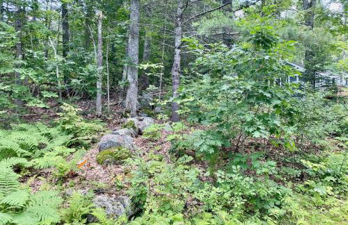 Cheerful Cottage Close to Everything 13 - Foto 15