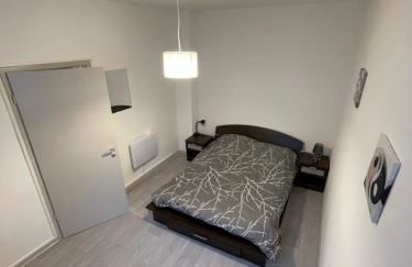 Superbe appartement rénové au centre de Forbach - Foto 7