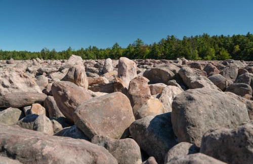 Nature's Paradise with Hot Tub and Fire Pit - Foto 37