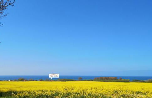 Hof am Meer "Seerose" - Foto 23
