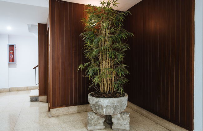 Light of Sevilla 2 - Foto 2