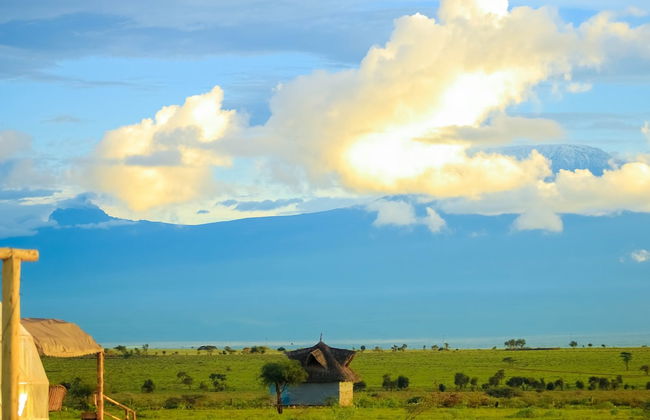 Amanya 1-bed Zebra Tent - Foto 28