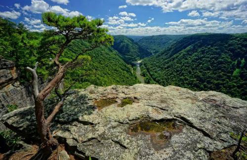 Adventure Cabin with Private Pond Near New River Gorge, Gauley & Summersville Lake - Foto 66