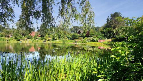 Ferienhaus Zwischen Den Seen - Foto 3