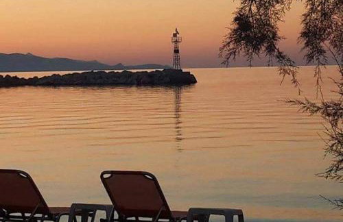 Village View - Photo 21