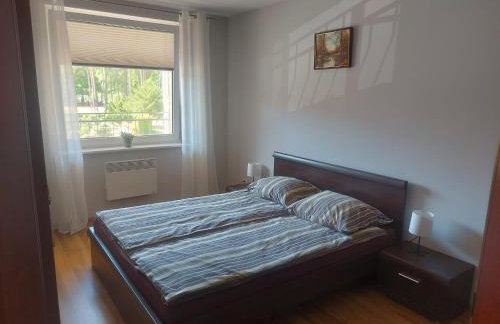 BLUE MARE Apartamenty MES - Foto 40