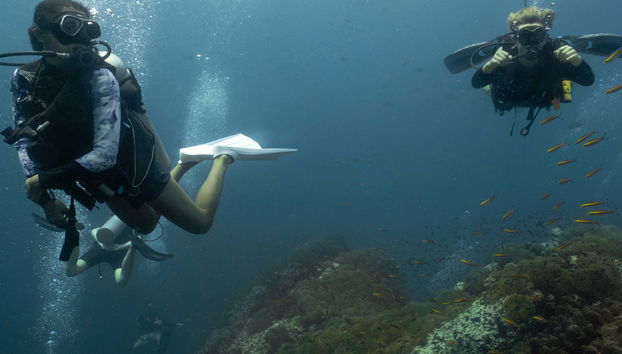 Mergulho em Sail Rock