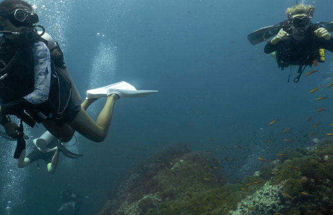 Mergulho em Sail Rock - Foto 5