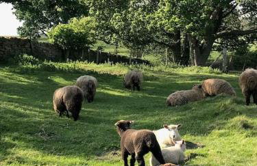 Ilkley Garden Suite - Photo 13