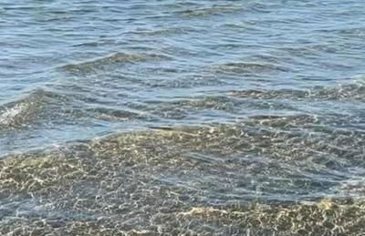 Casa di Nonni - Foto 10