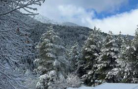 Konstantina 2 - Foto 37