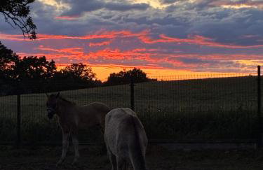 Chata kociewska - Foto 1