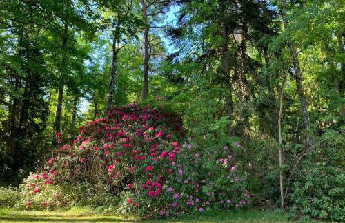 Domaine des Quatre Vents - Foto 68