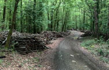 Casa Ricciardi - Foto 45