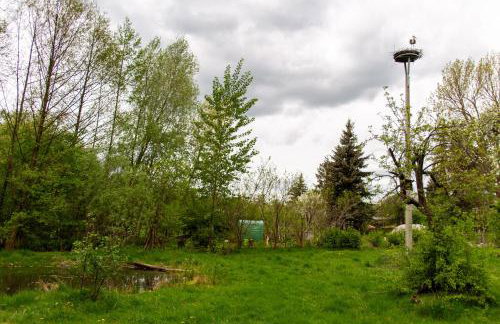 StorchenHof - Foto 44