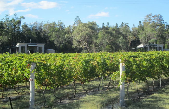 Just Red Wines Vineyard Cabins - Photo 9