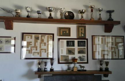 Scuderia 100 pertiche - Foto 15