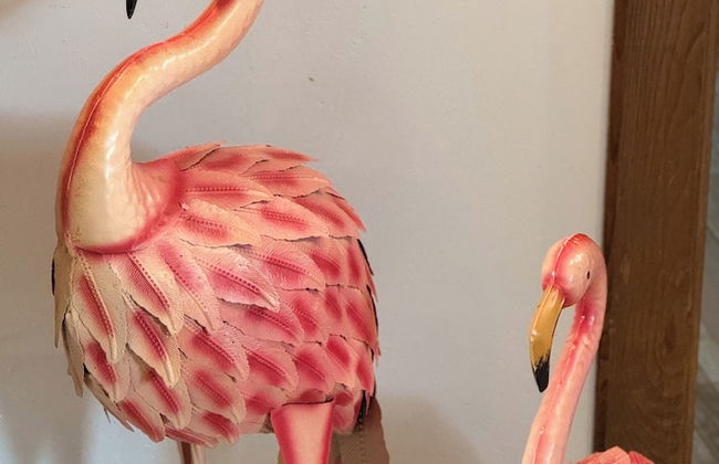 Complejo Rural Lar de Vies - Foto 78