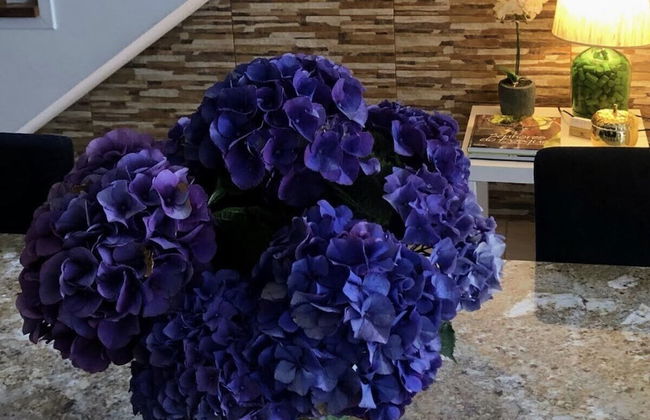 Casa Pedro e Ines - Foto 26