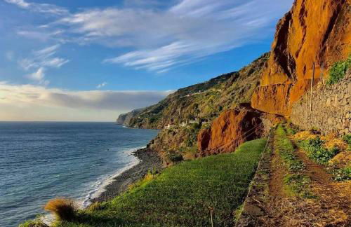 Mango House - Foto 53