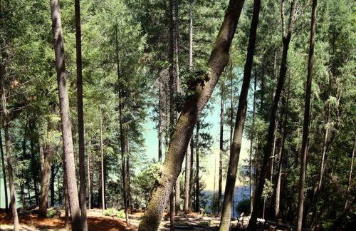 Stunning and Secluded Lakeside Getaway in the Grass Valley of California - Foto 19