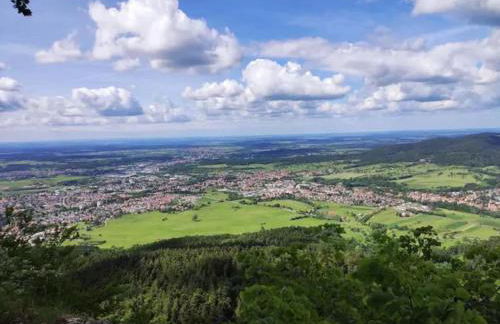 Ferienwohnung Albliebe - Foto 18