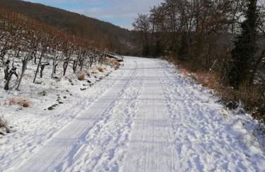 Himmelthal Apartment - Foto 21