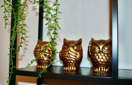 Dijon Hypercentre - Loge de la chouette - Foto 20