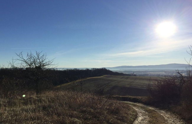 The old Cobbler House - Foto 18