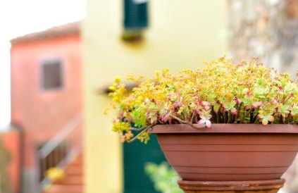 Agriturismo Castello delle Fornaci - Private Summer Jacuzzi - Foto 110