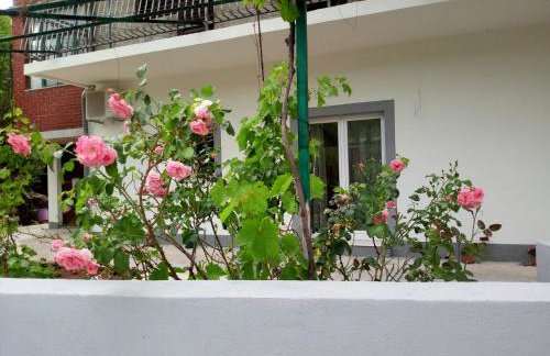 Apartmani Alma - Foto 1